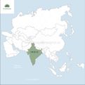 Boswellia serrata - kadzidło indyjskie