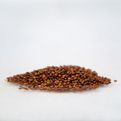 Quinoa czerwona Bio (komosa ryżowa) Nanga