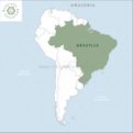 Acerola - wiśnia amazońska