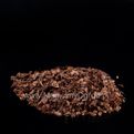 Różeniec górski korzeń - rhodiola