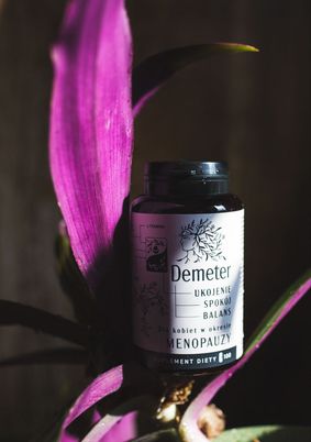 DEMETER - koniec może być początkiem