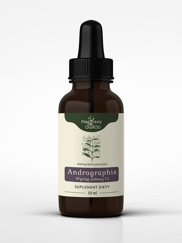 Andrographis paniculata nalewka 1:1