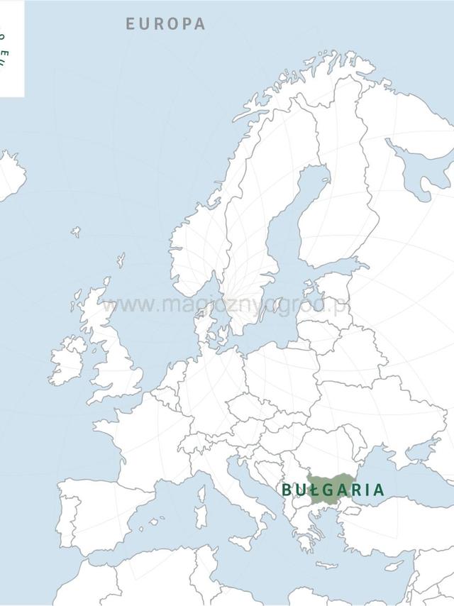 Olejek z rumianku rzymskiego w jojobie Nanga