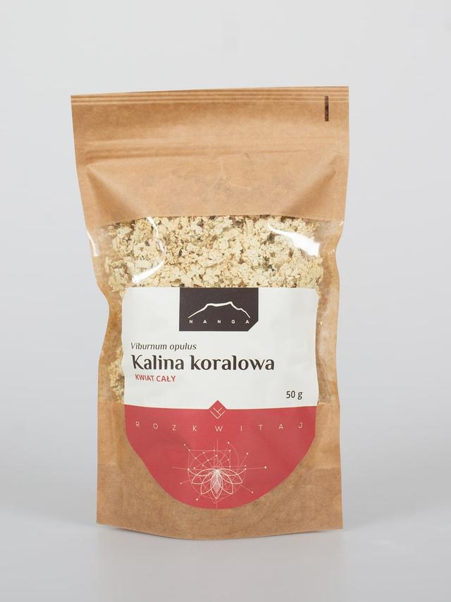 Kalina koralowa kwiat