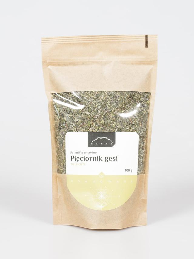 Pięciornik gęsi ziele