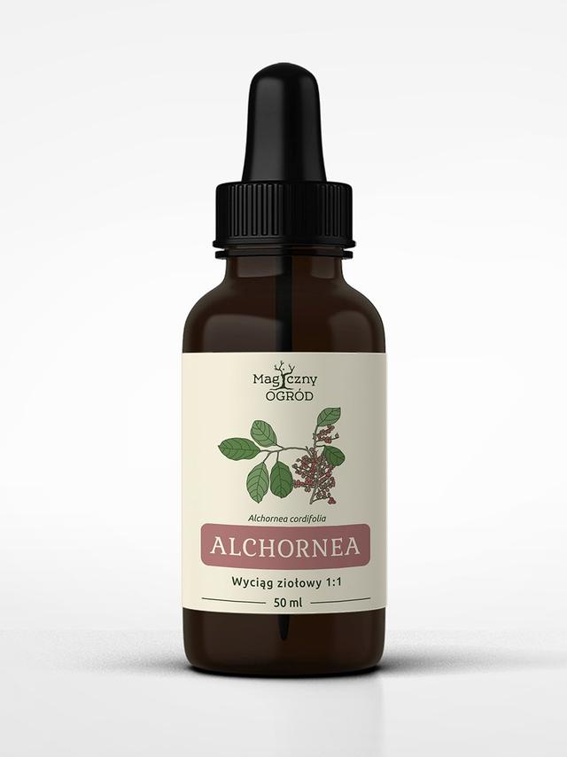 Alchornea cordifolia nalewka 1:1