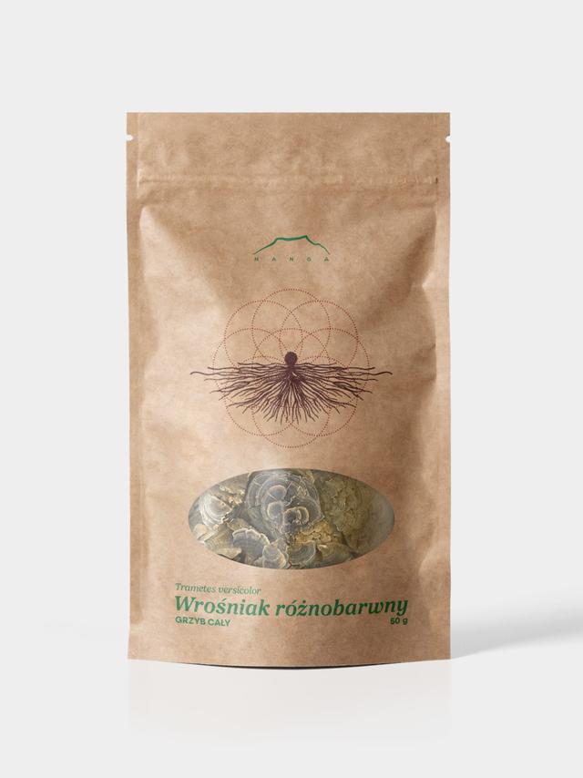 Wrośniak różnobarwny grzyb