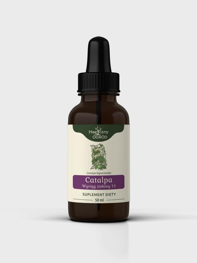 Catalpa nalewka 1:1