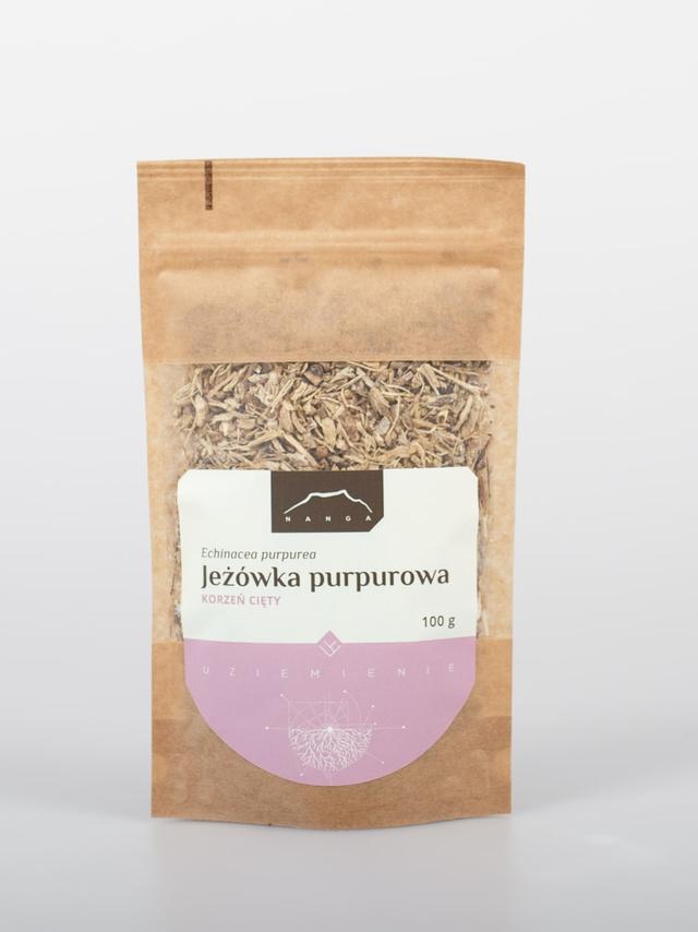 Jeżówka purpurowa korzeń