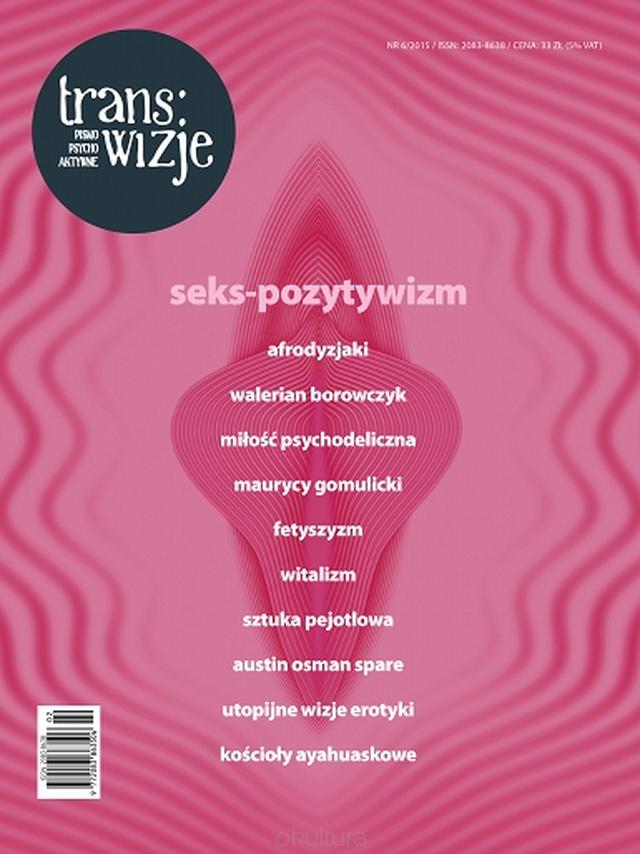 Trans/wizje nr 6