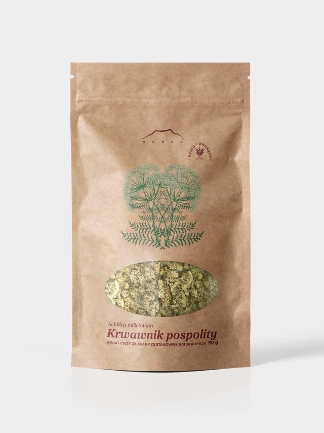 Krwawnik pospolity kwiat