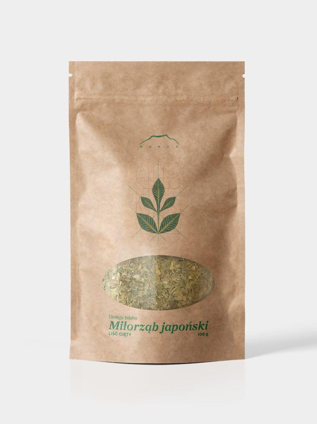 Ginkgo biloba liść