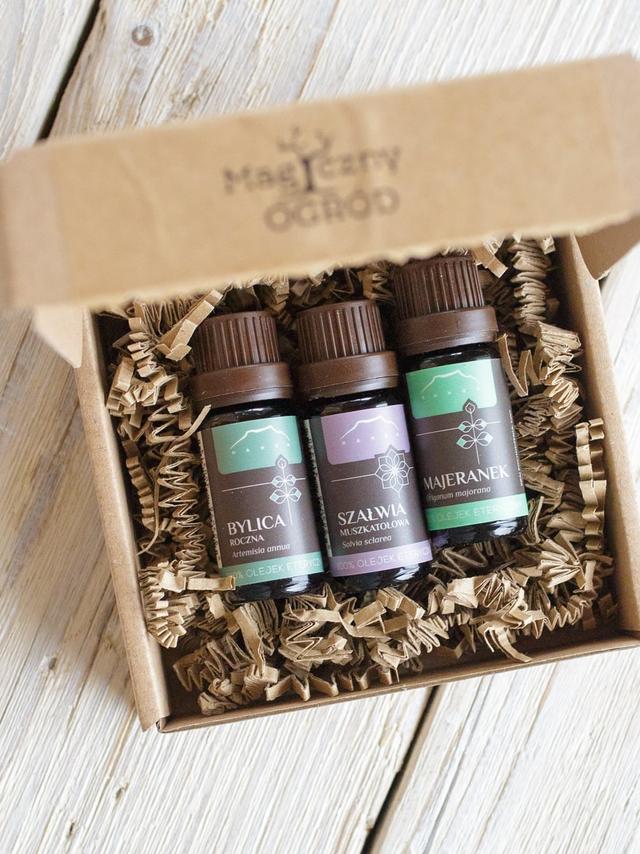 Zestaw łąka zielna