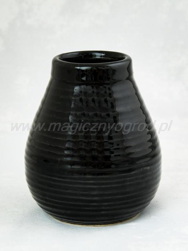 Calabaza 210ml