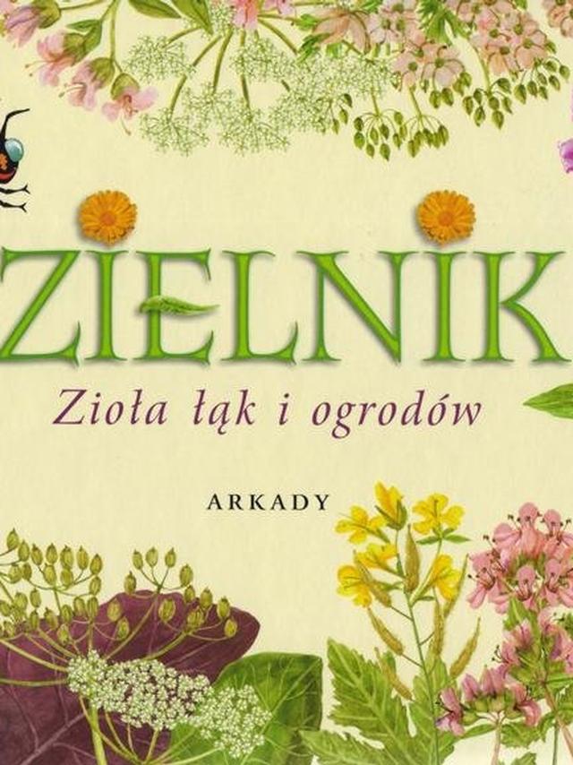 Zielnik zioła łąk i ogrodów