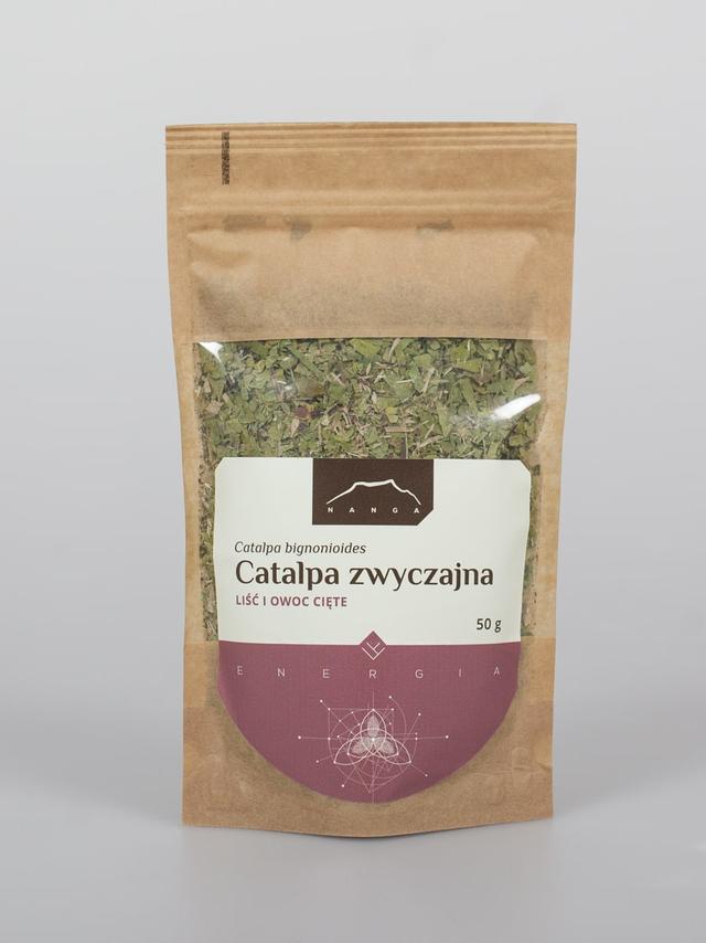 Catalpa zwyczajna