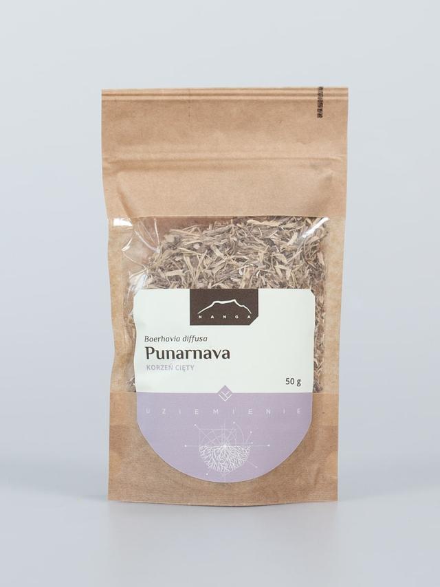 Punarnava korzeń