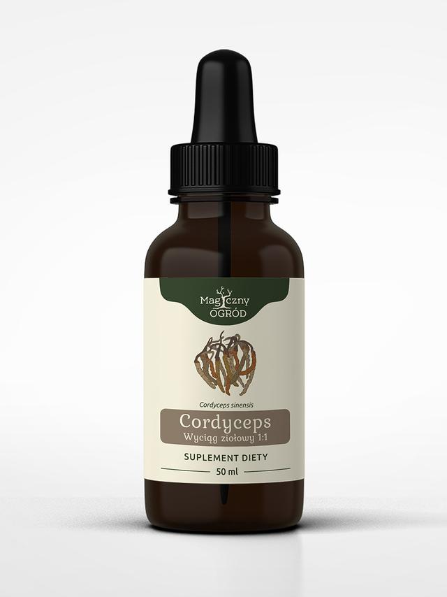 Cordyceps nalewka 1:1