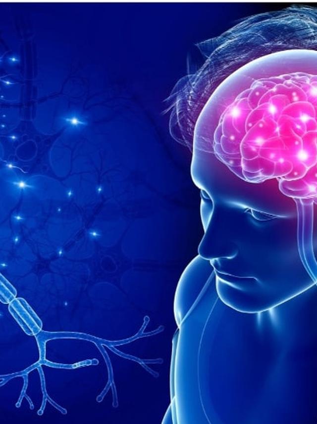 Kurs Fitoterapia chorób układu nerwowego