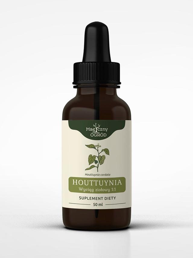 Houttuynia cordata nalewka 1:1