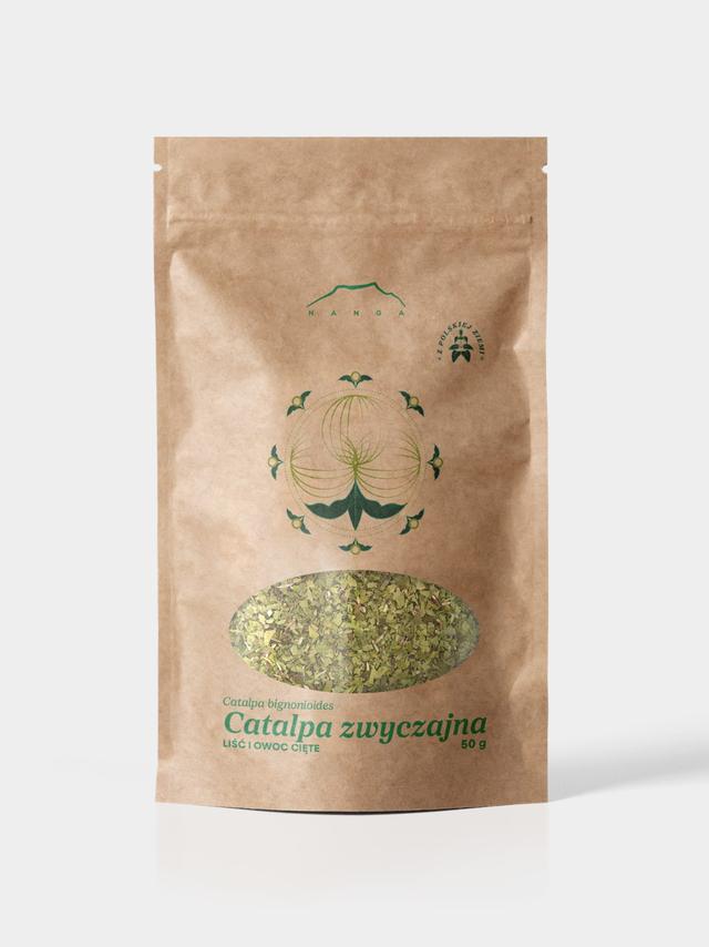 Catalpa zwyczajna