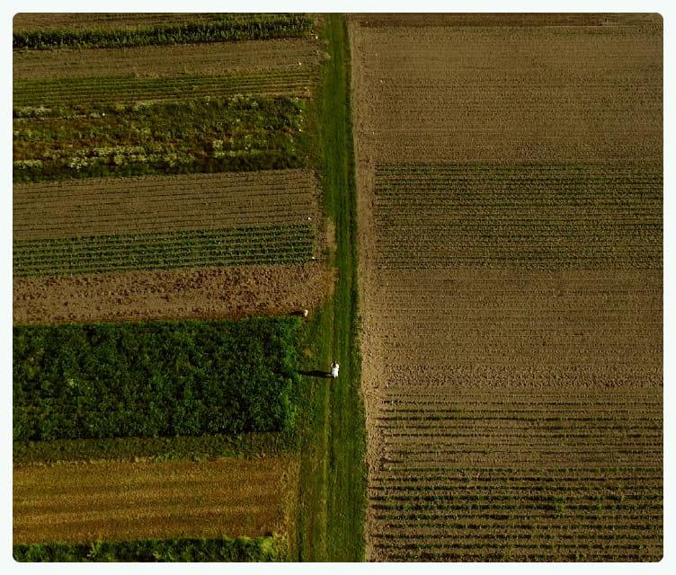 Nasze pola budzą się właśnie do życia!