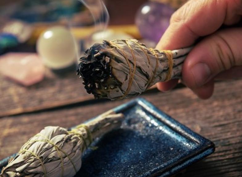 Biała szałwia: właściwości, zastosowanie, kadzidło z szałwii