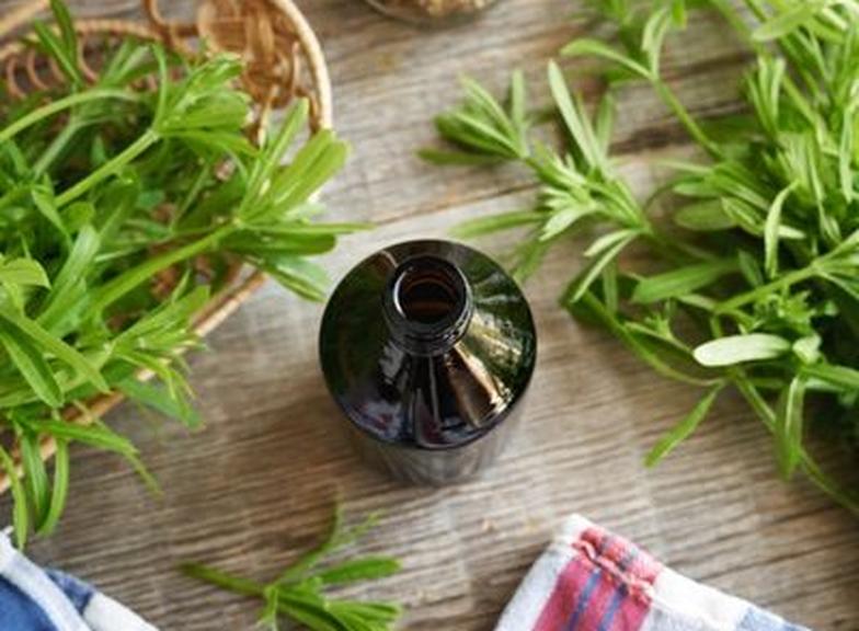 Przytulia czepna – kiedy zbierać ziele? 