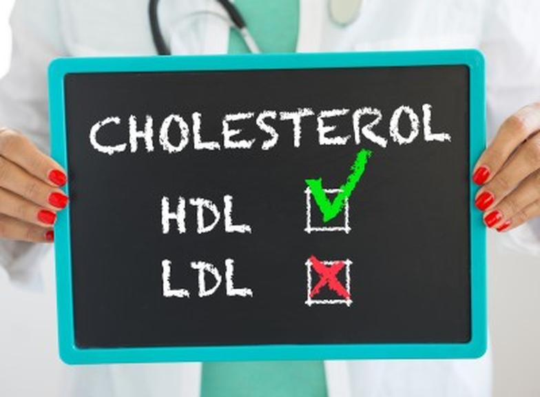 Berberyna na cholesterol – czy naprawdę obniża poziom LDL i trójglicerydów?