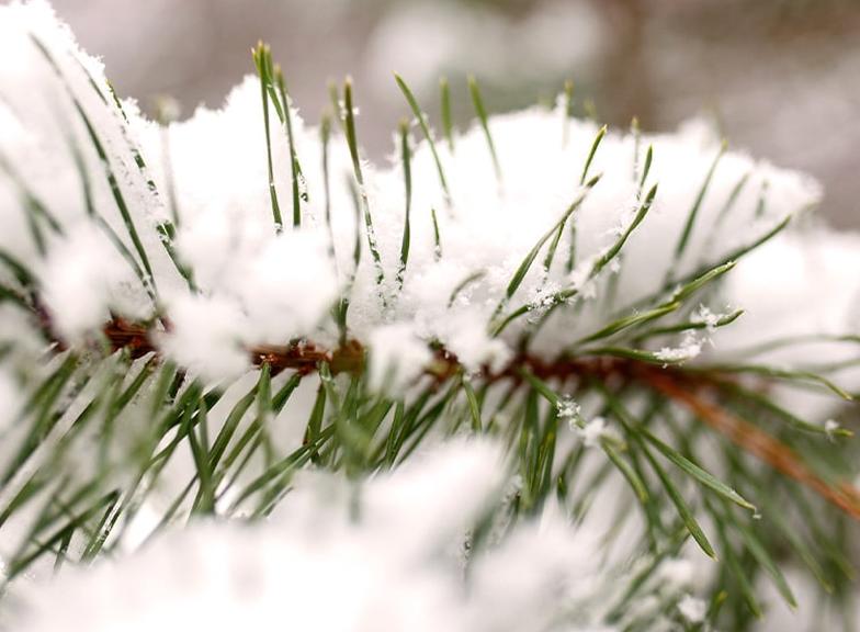 Pięknego grudniowego czasu