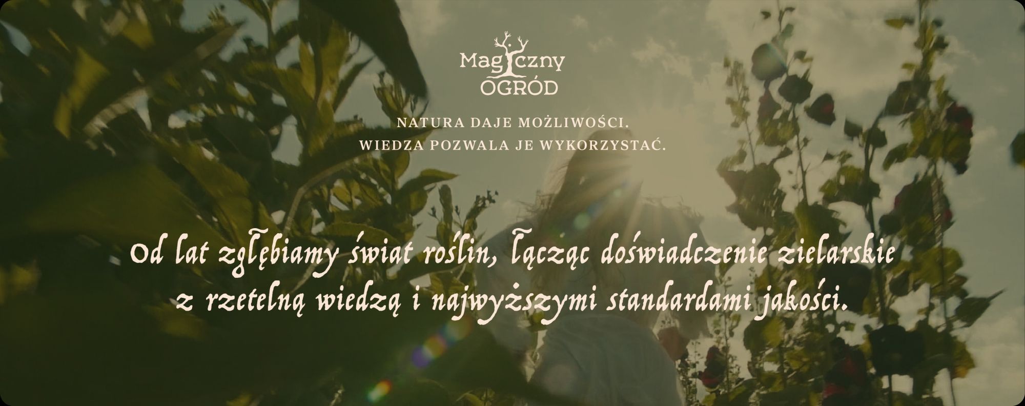 Magiczny Ogród — propolis