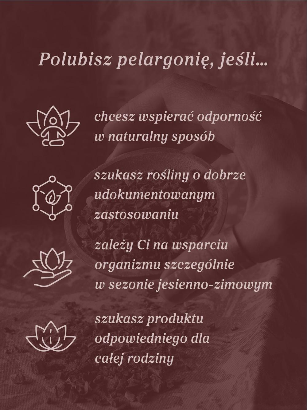 Pelargonia afrykańska wyciąg ziołowy 1:5