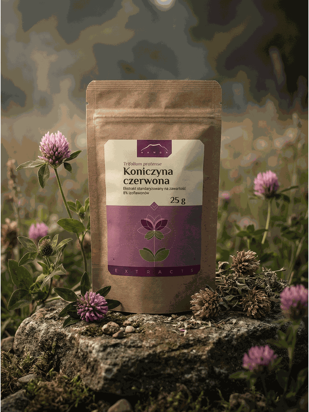 Koniczyna czerwona ekstrakt 8% izoflawonów