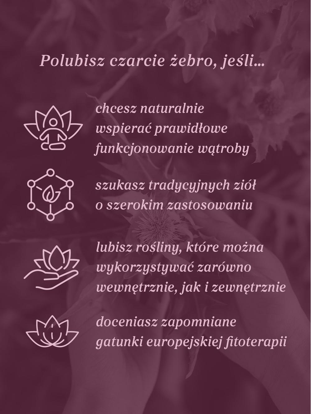 Czarcie żebro (ostrożeń warzywny) ziele