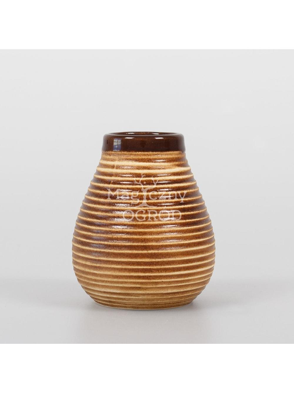 Calabaza 210ml