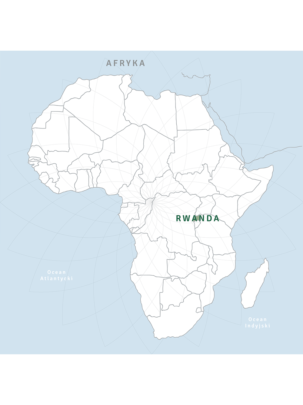 Nasiona chia - szałwia hiszpańska