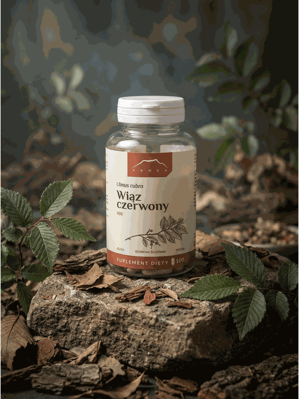 Wiąz czerwony 100 kapsułek x 400 mg