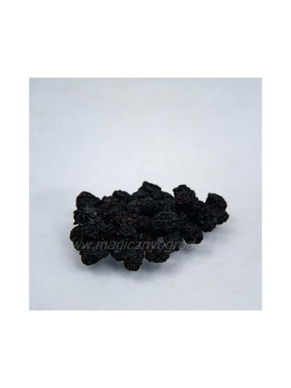 Aronia owoc suszony ręczny zbiór