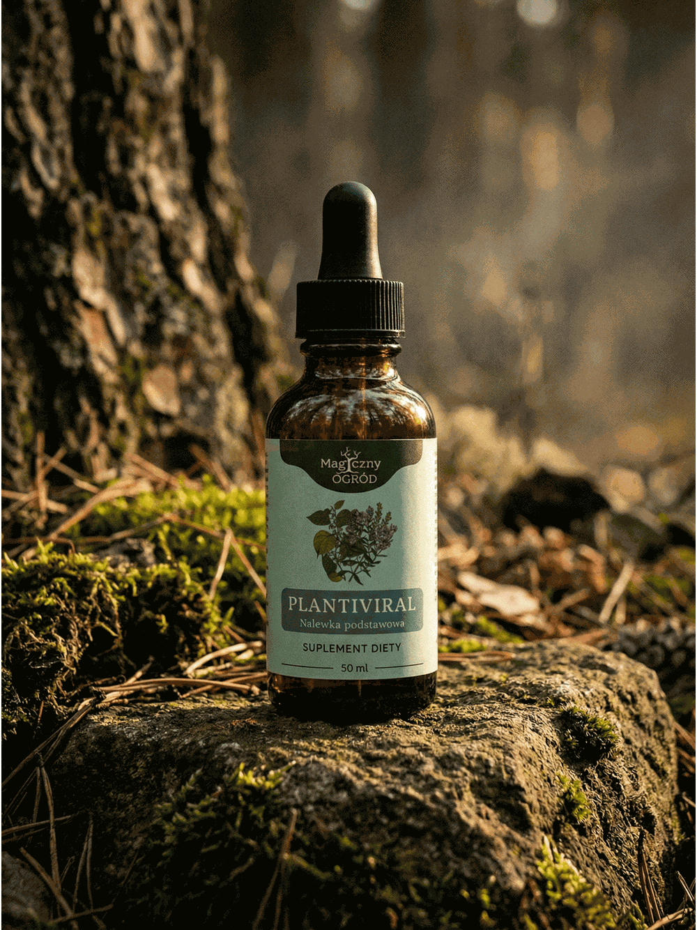 PLANTIVIRAL - zestaw nalewek według Buhnera