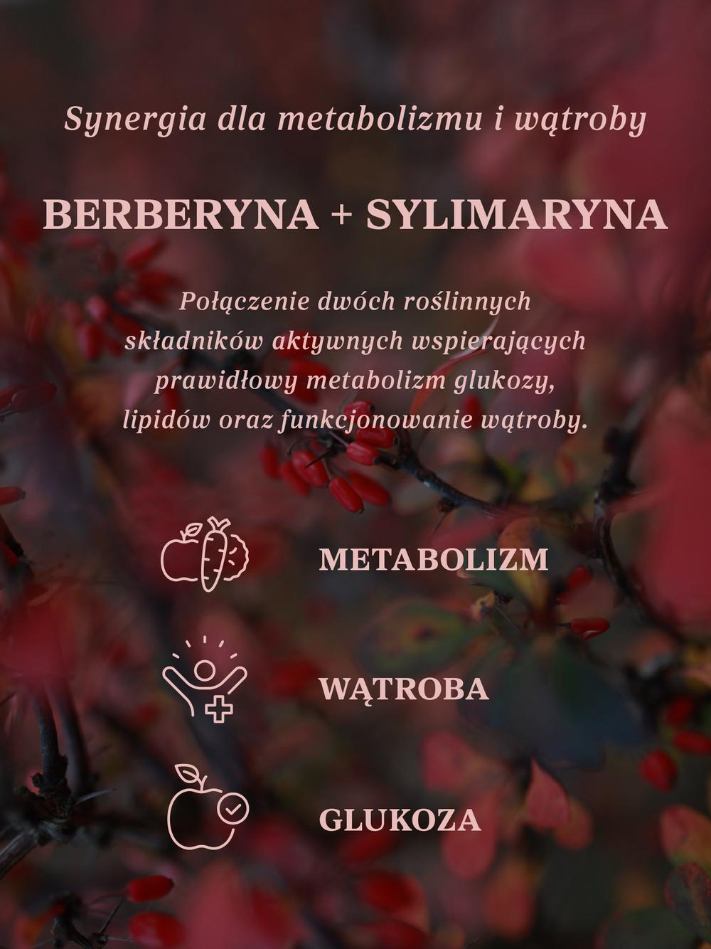 Berberyna z sylimaryną 100 kapsułek