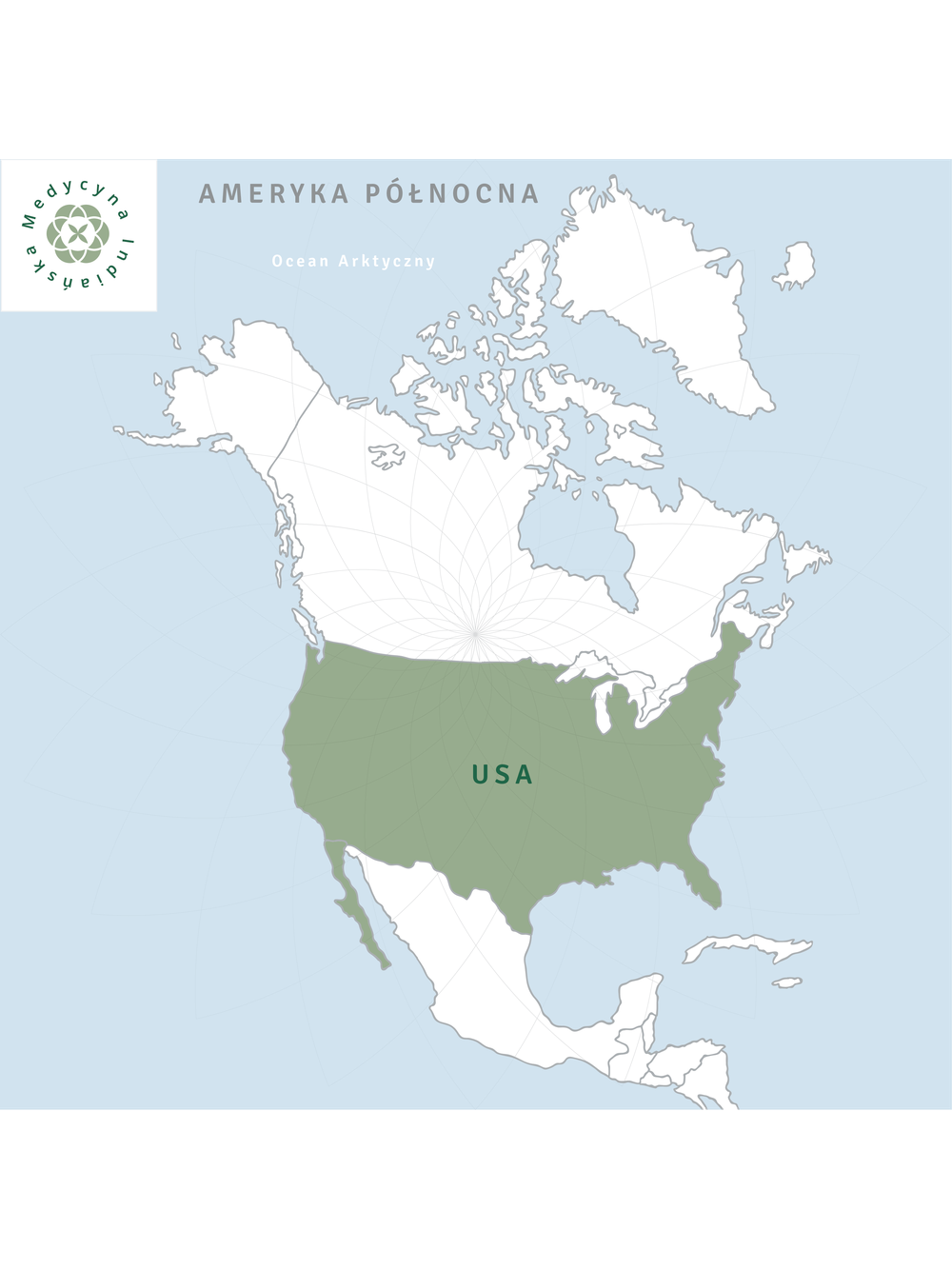 Sassafras albidum kora