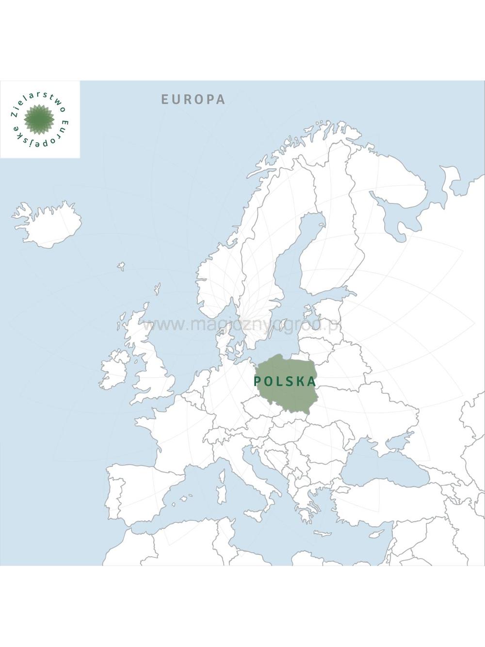 Krwiściąg lekarski