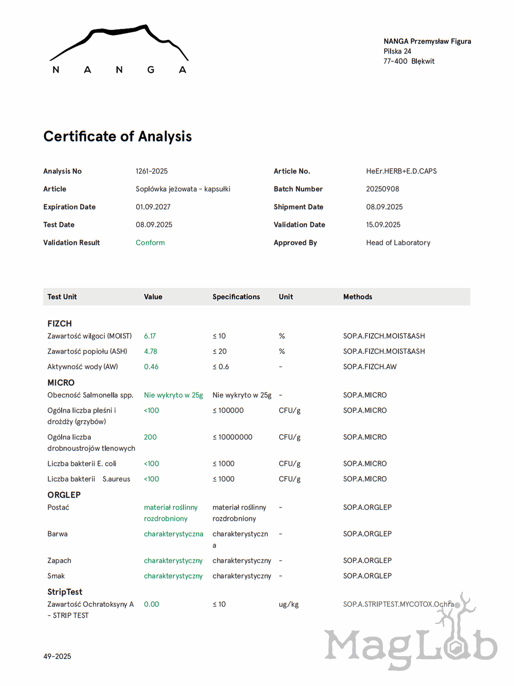Soplówka jeżowata DUO suplement 250 mg x 100 kapsułek