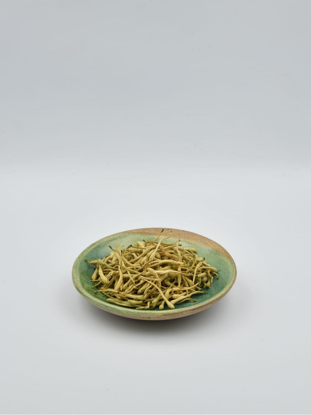 Wiciokrzew japoński kwiat