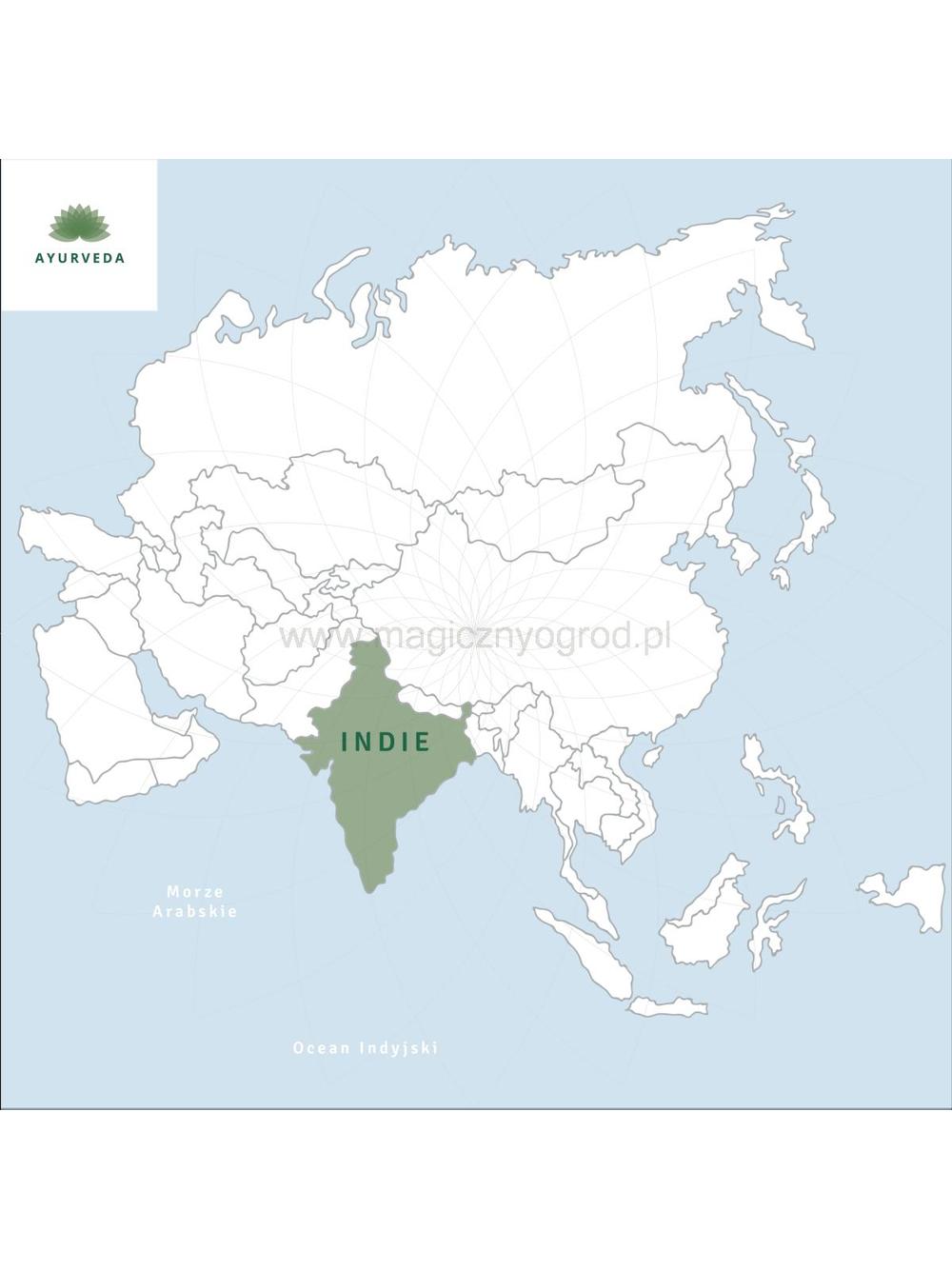 Shankhapushpi ziele