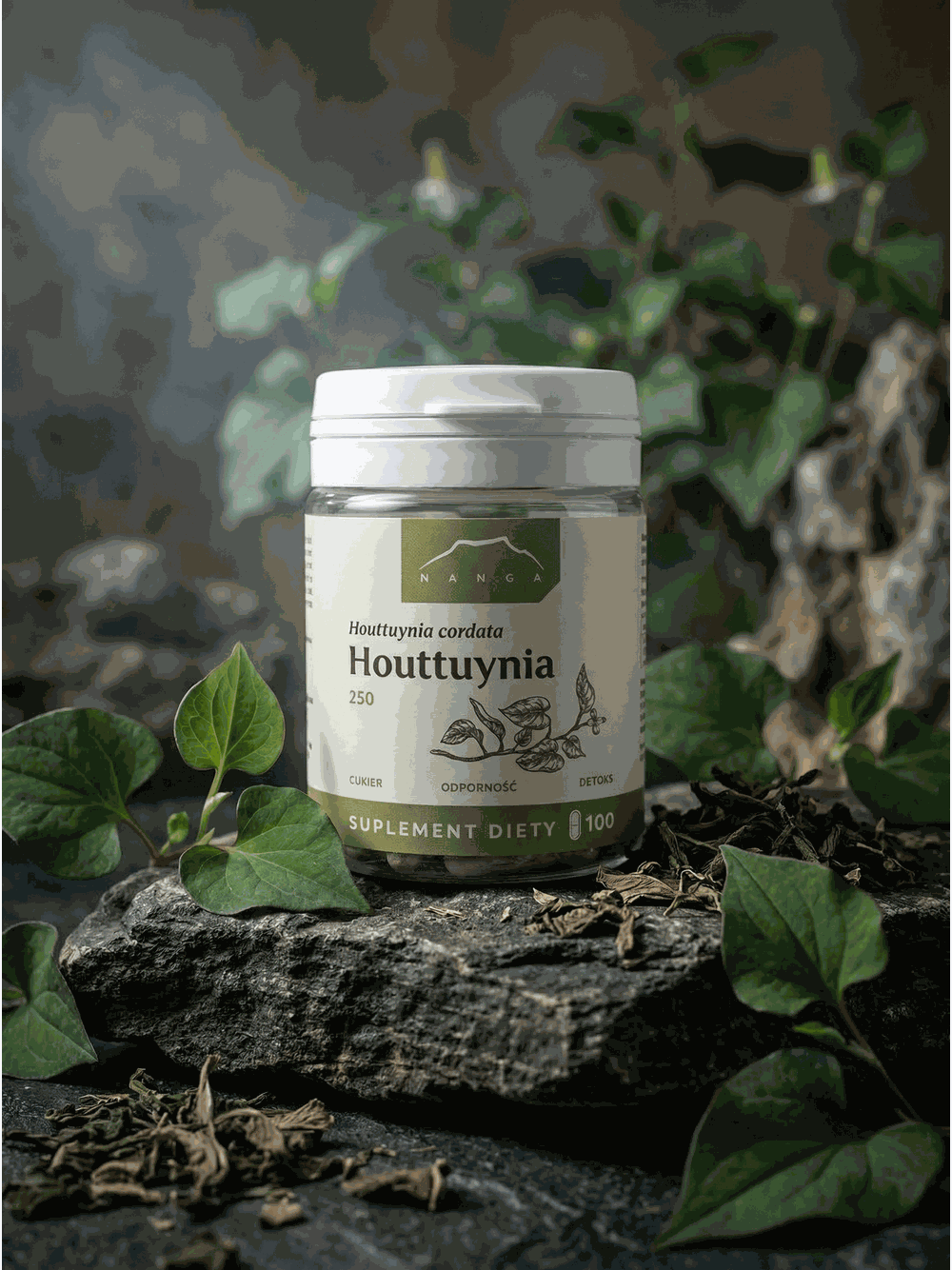 Houttuynia 100 kapsułek x 250 mg