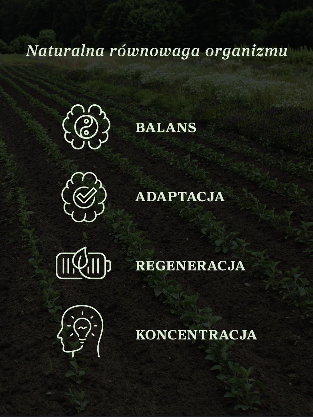 Ashwagandha krople