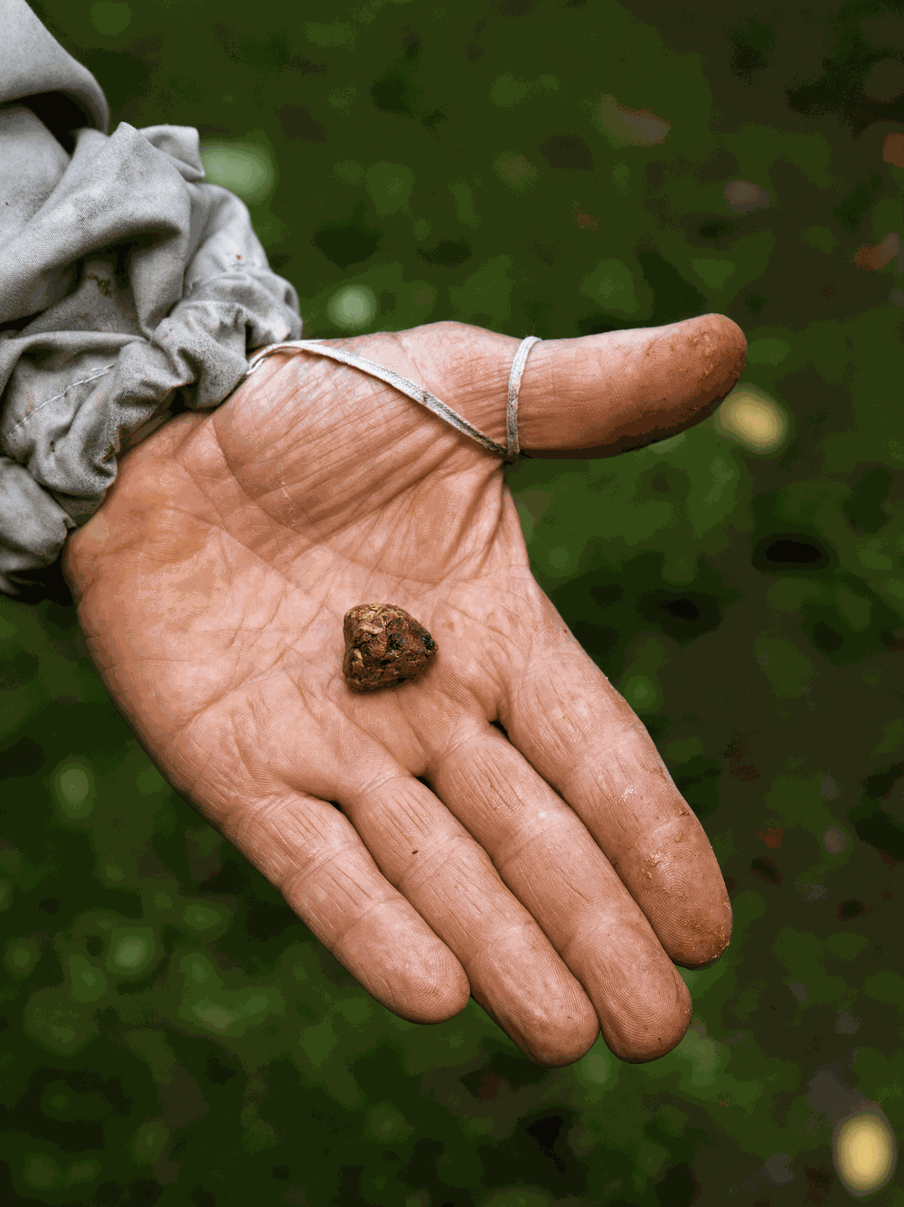 Propolis krople 20%