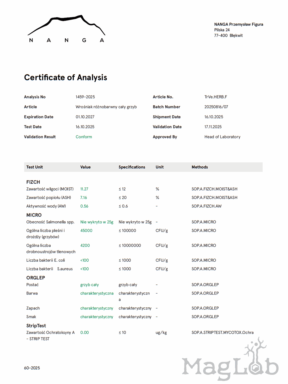 Wrośniak różnobarwny grzyb