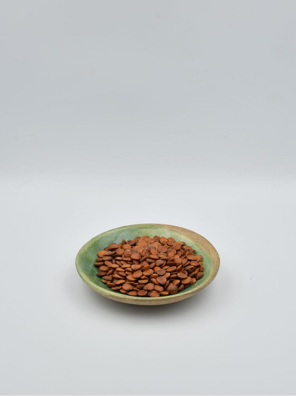 Głożyna nasiona - jujube